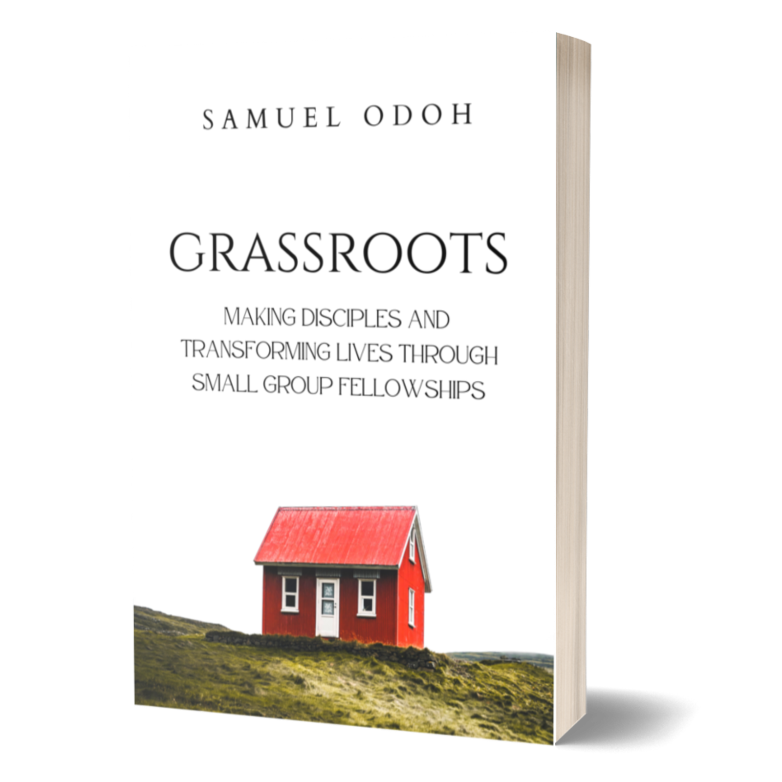 grassroots mockup