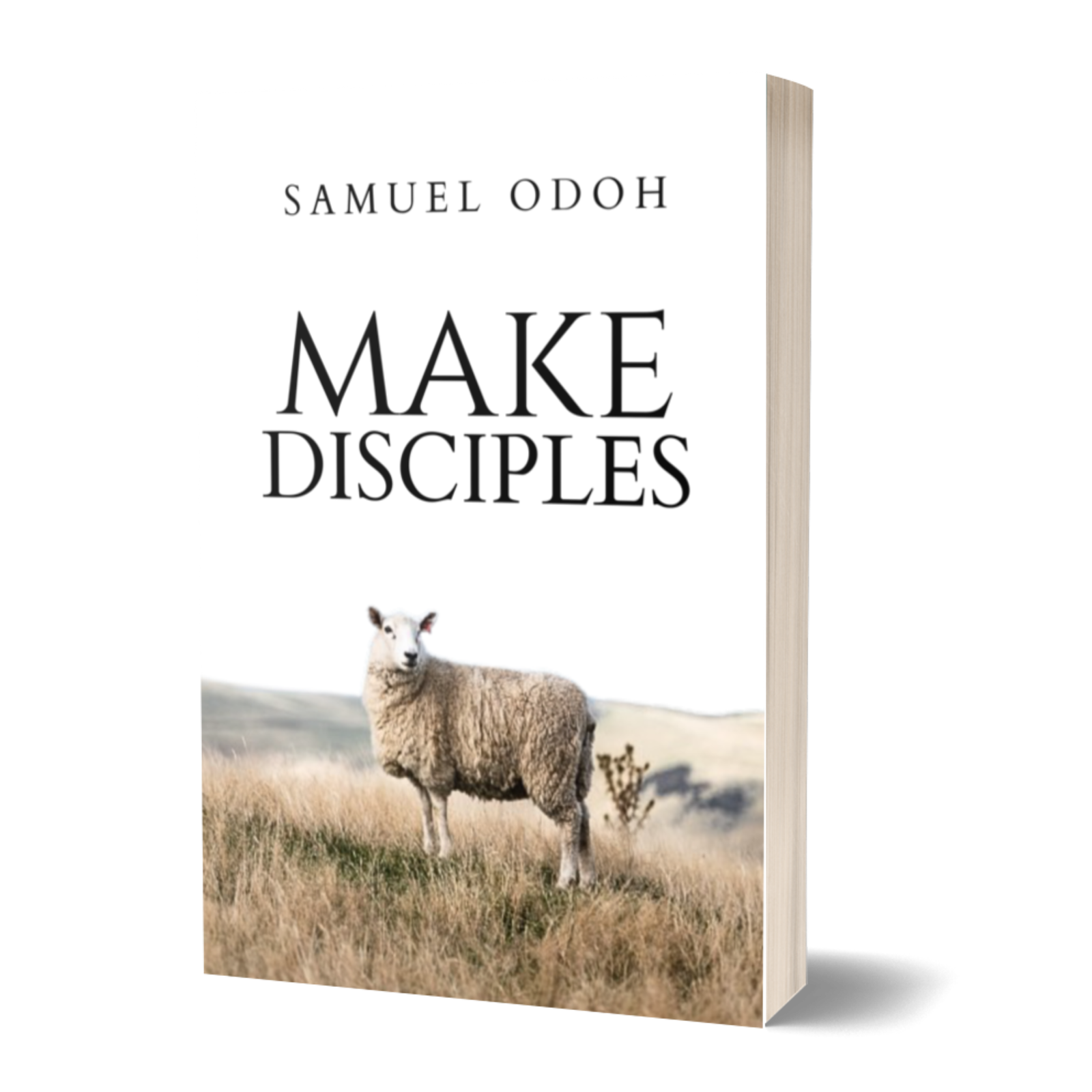 make disciples